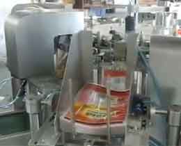 Automatic Bag-given Granule Packing Machines
