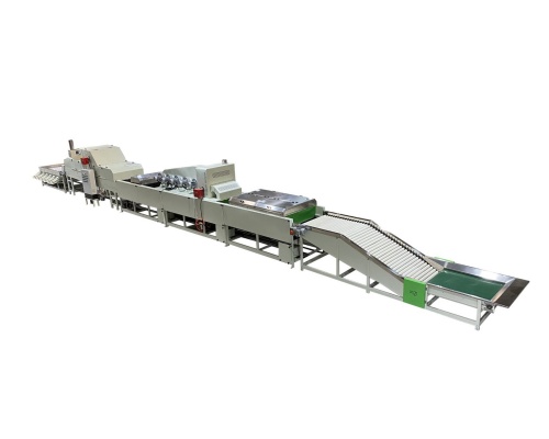 【Success Case】Yemen Mango Processing Line Empowers Tropical Fruit Industry Upgrading