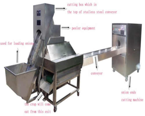 Israeli customer customizes onion peeling machine