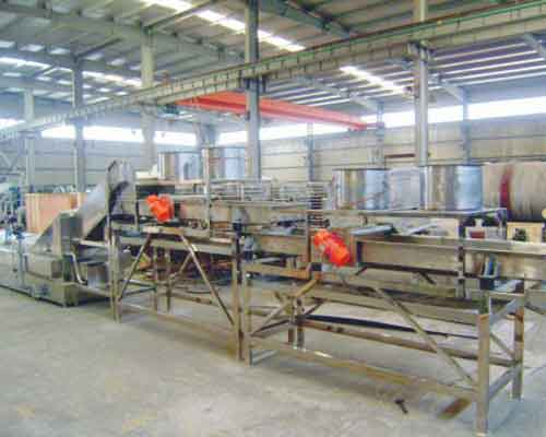 fast frozen processing line price