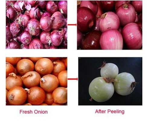 Catálogo de fabricantes de Onion Mincing Machine de alta calidad y